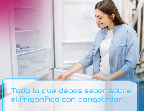 Todo lo que debes saber sobre el frigorífico con congelador